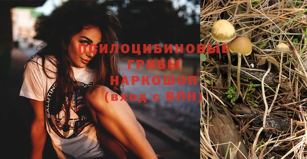 трава Армянск