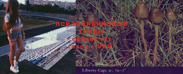 трава Армянск
